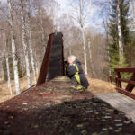 "Person on wooden bridge in birch forest takes photo on sunny day"