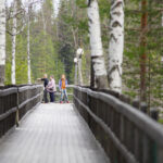 Träbrygga genom skog med tre personer som tittar på omgivningen.