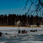 Människor ice-fiskar på frusen sjö med stolar, utrustning, träd och hus i bakgrunden.