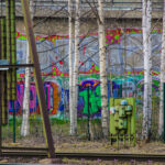 Graffiti i starka färger bakom björkar, grön installation och järnvägsspår i förgrunden.