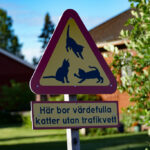 Varningsskylt i trädgård med text om lekande katter utan trafikvett.