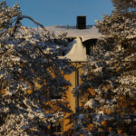 Byggnad delvis dold bakom snötäckta träd, snötäckt tak, klarblå himmel.