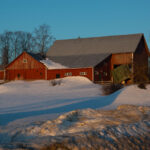 Red barn with metal roof surrounded by snow and trees in low sunlight.