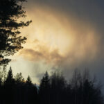 Dark treetops against bright, dramatic clouds with shifting colors in the sky.