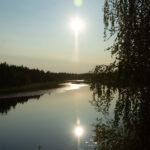 Stilla sjö kantad av skog med reflekterande sol i vattnet.