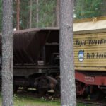Godsvagnar på spår i skog, delvis dolda av träd, med text om lasttransport.