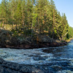 Strömmande flod genom skog med stenar under klarblå himmel.
