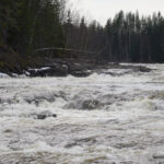 River rapids with powerful flow and rocky edges, surrounded by forest and sparse-leaved trees.