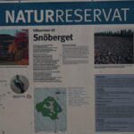 Informationsskylt för Snöberget naturreservat i Sverige med detaljer om geologi, historia och regler.