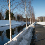 Vinterväg längs snötäckt kanal med nakna björkar och ett hus i bakgrunden.