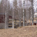 Lantlig miljö med nakna träd, gul och röd byggnad sammankopplade av träbro, torra löv.