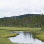 Lummigt landskap med våtmarker, ström, skog och vindkraftverk under molnig himmel.